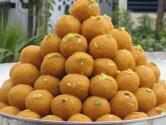 Top 10 Diwali Sweets To Make At Home